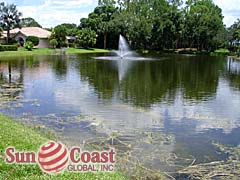 SAWGRASS OF NAPLES Water View